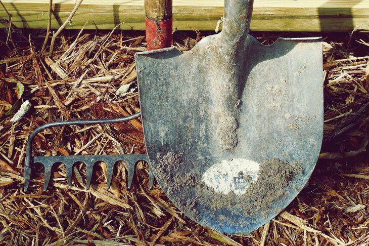 Глинистая почва: как ее улучшить и что нужно внести